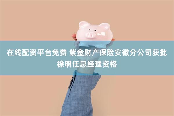 在线配资平台免费 紫金财产保险安徽分公司获批徐明任总经理资格