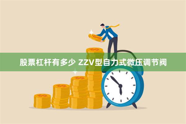 股票杠杆有多少 ZZV型自力式微压调节阀