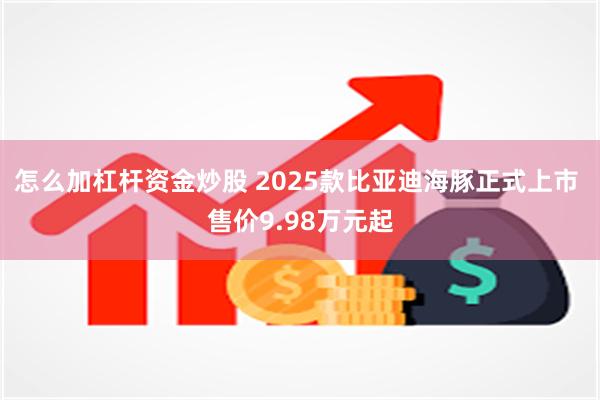 怎么加杠杆资金炒股 2025款比亚迪海豚正式上市 售价9.98万元起