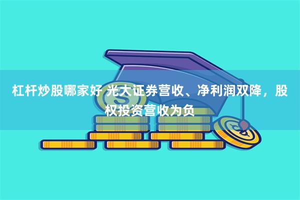 杠杆炒股哪家好 光大证券营收、净利润双降，股权投资营收为负