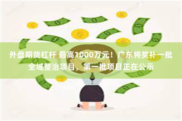 外盘期货杠杆 最高1000万元！广东将奖补一批全域整治项目，第一批项目正在公示