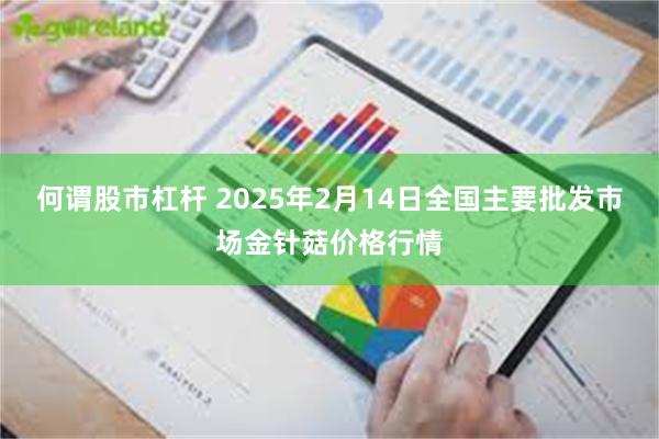 何谓股市杠杆 2025年2月14日全国主要批发市场金针菇价格行情