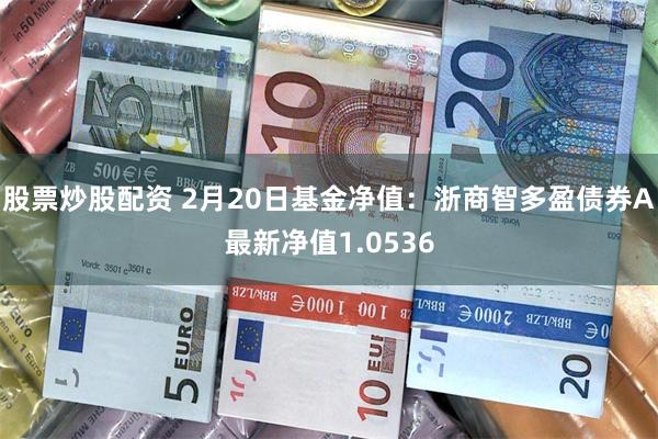 股票炒股配资 2月20日基金净值：浙商智多盈债券A最新净值1.0536