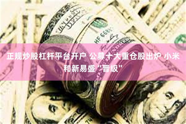 正规炒股杠杆平台开户 公募十大重仓股出炉 小米和新易盛“晋级”
