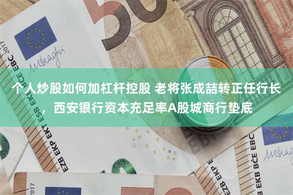 个人炒股如何加杠杆控股 老将张成喆转正任行长，西安银行资本充足率A股城商行垫底