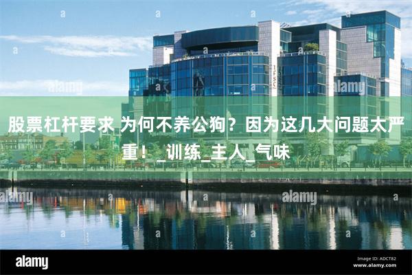 股票杠杆要求 为何不养公狗？因为这几大问题太严重！_训练_主人_气味