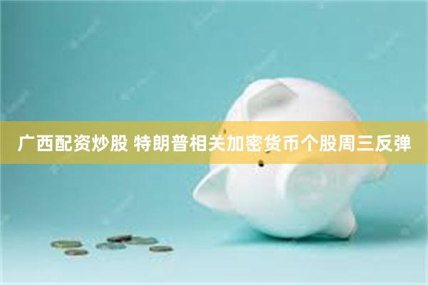 广西配资炒股 特朗普相关加密货币个股周三反弹