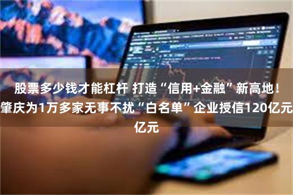 股票多少钱才能杠杆 打造“信用+金融”新高地！肇庆为1万多家无事不扰“白名单”企业授信120亿元